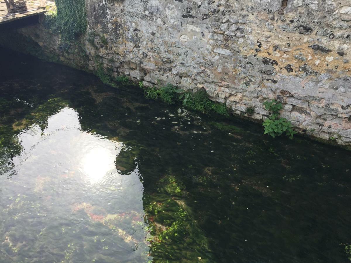 Le Moulin De La Cote Chambre D'Hotes Saint-Vigor エクステリア 写真